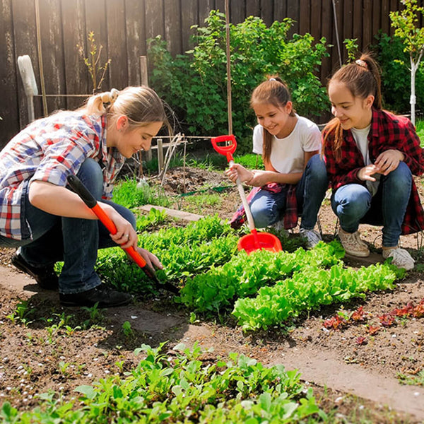Blossoming into Gardening: Tips for Beginners