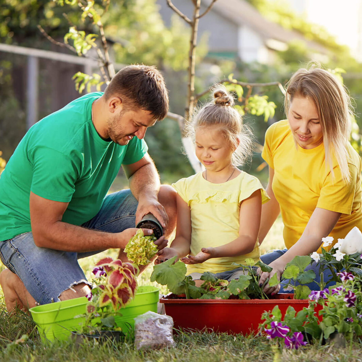 Home Garden tools