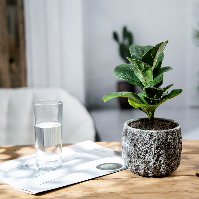 Simulation Rock Flower Pot Cement