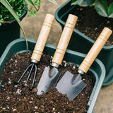 3Pcs/Set Mini Garden Tool Set For Garden