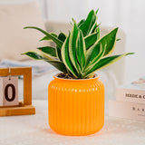 Self Watering Flower Pots