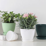 Home Garden Pots with Tray