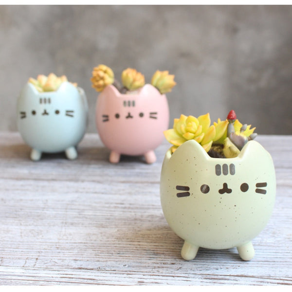 Ceramic Flower Pot Cute Cat Succulent