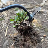 Manganese Steel Garden Weeders Grass