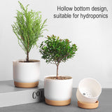 Double Succulents Flower Pots