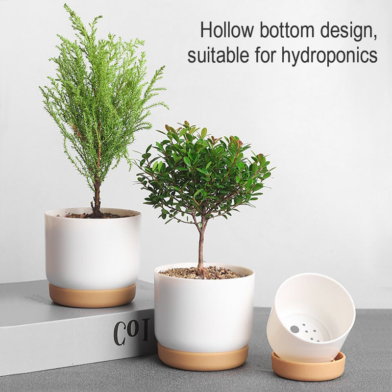 Double Succulents Flower Pots