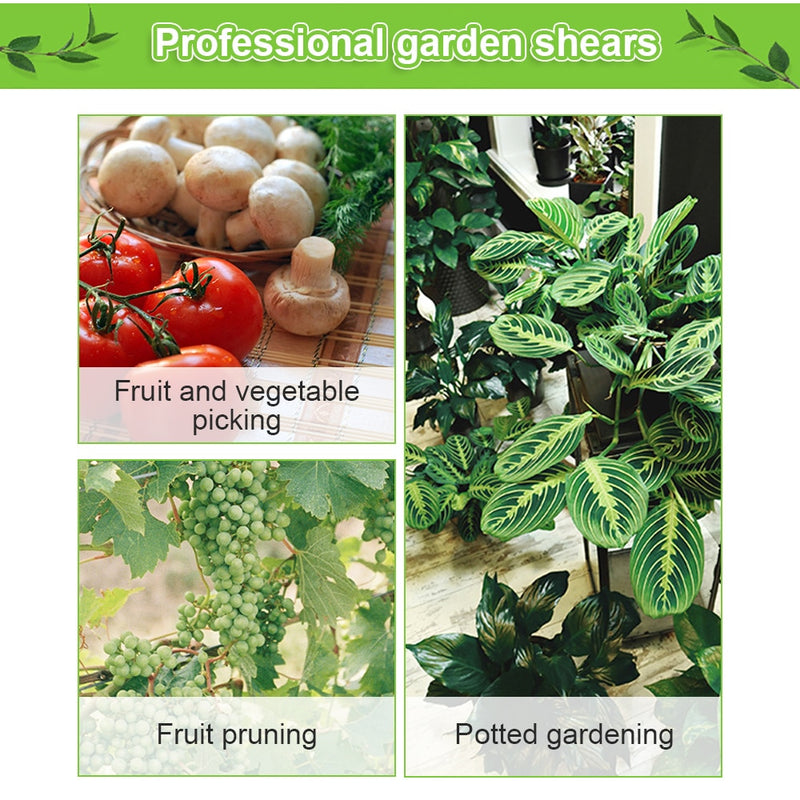 Garden Tools Secateurs Bonsai Shears Metal