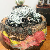 500g/bag Plant Dedicated Volcanic Rocks