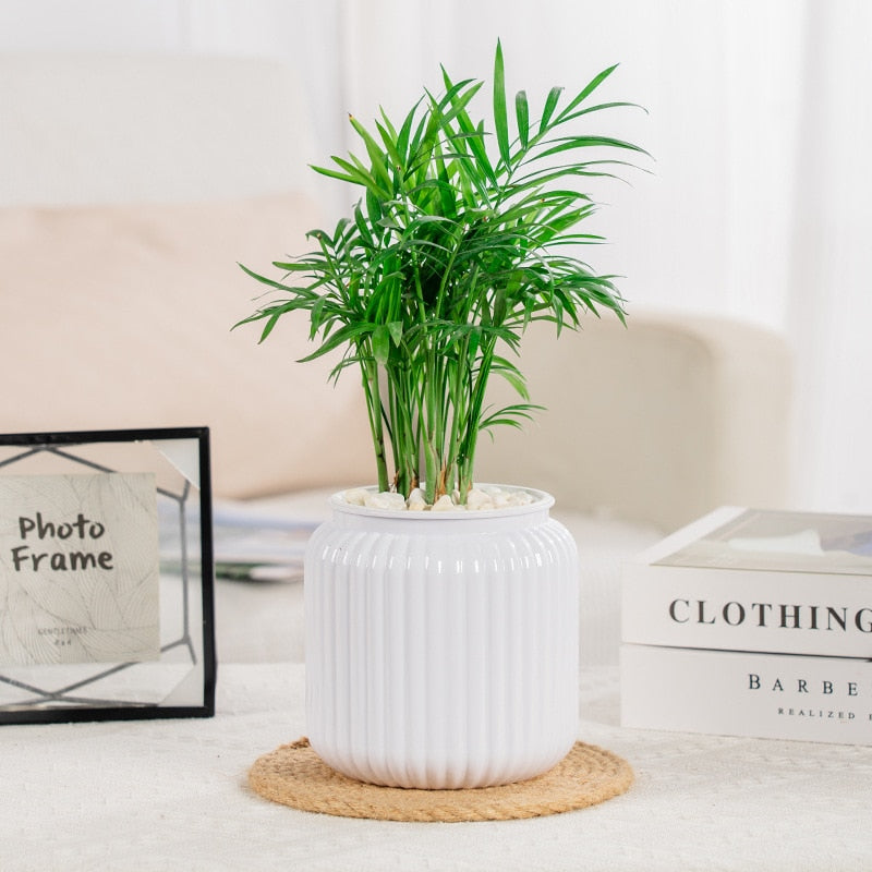 Self Watering Flower Pots